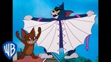 Tom y Jerry en Español | Tom el Gato o Tom el Pájaro | WB Kids