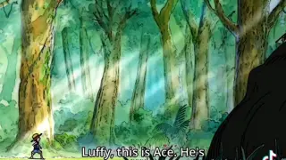 when Luffy meets ace
