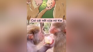 Giống y đũy bạn thân,đã không cho còn bắt nhìn pet funny foryou