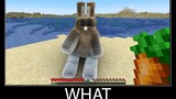 Minecraft รออะไร meme part 97 minecraft ที่เหมือนจริง Rabbit wool