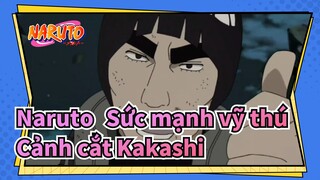 Naruto: Sức mạnh vỹ thú
Cảnh cắt Kakashi_B