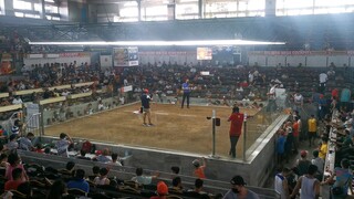 Engineerian vs. Sabong Idol Sir Dicky Lim (6 Cock. Derby Pre-Finals) @ Roligon Mega Cockpit