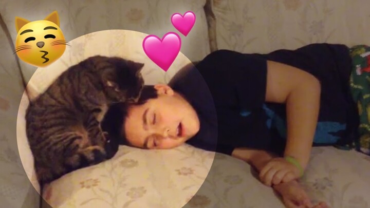 Kitty Kisses His Human Good Morning 😍  | Funny Animal Compilation