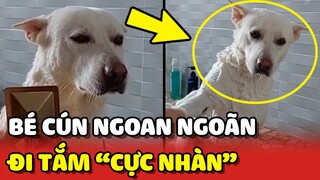 Lu Công Tử và câu chuyện TẮM Boss "SIÊU NHÀN" của cô Sen 😂 | Yêu Lu