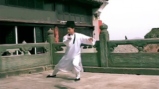 WuDang Kung Fu Mashup Video