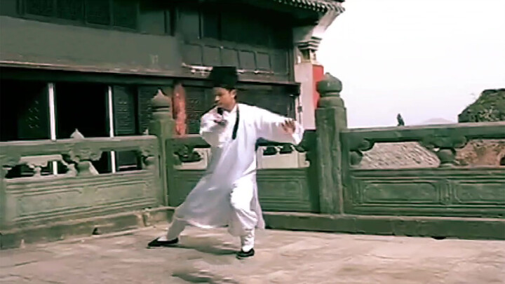 WuDang Kung Fu Mashup Video