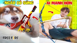 Thú Cưng Vlog | Ngáo Husky Troll Bố #28 | Chó husky vui nhộn thông minh | Dog husky funny smart