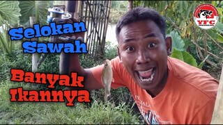 Mancing Di Selokan Sawah Desa Beji Purwokerto