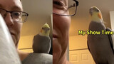 [Animals]A parrot mimics a shaken water bottle