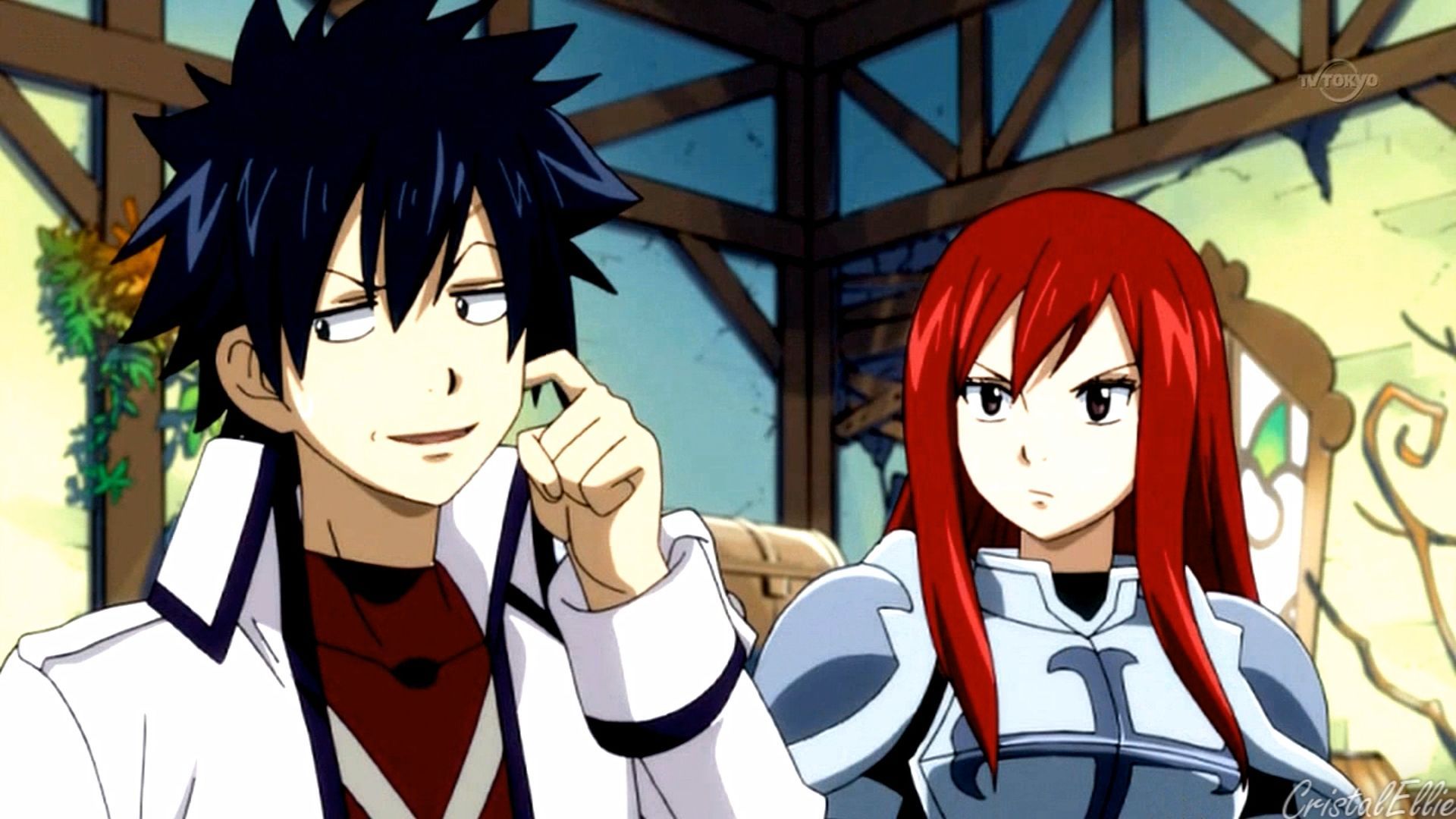 fairy tail grey and erza