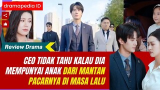 CEO tidak tahu kalau dia punya anak dari mantan pacarnya di masa lalu