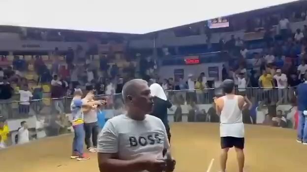 4 cocks derby @gallera de mandaue 2nd fight win 2/4 lemon84 line