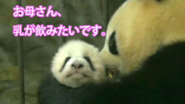 [Pandas] Oh Kid Just Let Me Rub You A Little Longer