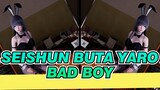 Seishun Buta Yaro|[MMD]Mai di perpustakaan, aku menemukannya!~「bad boy」