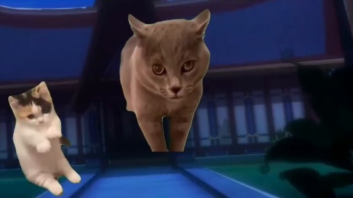 Tubuh sekte meme kucing - Bab Molan: Pada akhirnya, Molan tidak menyimpan apa pun...