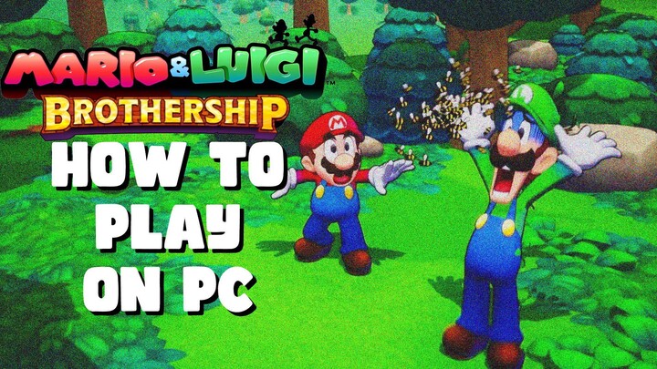 How To Play Mario & Luigi Brothership On PC