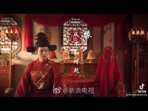 Cẩm Tâm Tựa Ngọc - Đàm Tùng Vận/ Chung Hán Lương 锦心似玉