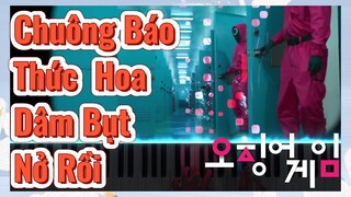 Chuông Báo Thức Hoa Dâm Bụt Nở Rồi