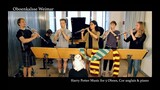 Harry Potter Hedwig's theme oboe, cor anglais & piano cover (Oboenkalsse Weimar)