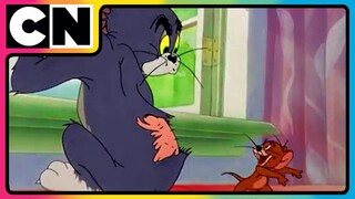 Tom & Jerry 😺🐭 | An Ode to Chaos! | Non-stop Masti 🤩| Funny Chases 😆| Only on Cartoon Network