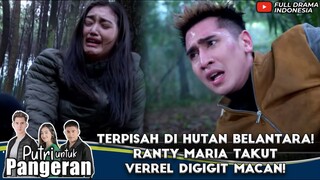 TERPISAH DI HUTAN BELANTARA! RANTY MARIA TAKUT VERREL DIGIGIT MACAN! - PUTRI UNTUK PANGERAN