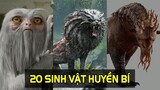 20 SINH VẬT HUYỀN BÍ - FANTASTIC BEAST AND WHERE TO FIND THEM  | meXINE #Shorts