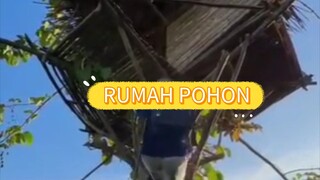 beli pentol super banyak utk makan dirumah pohon