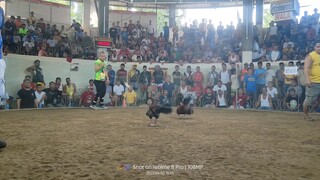 3wins special