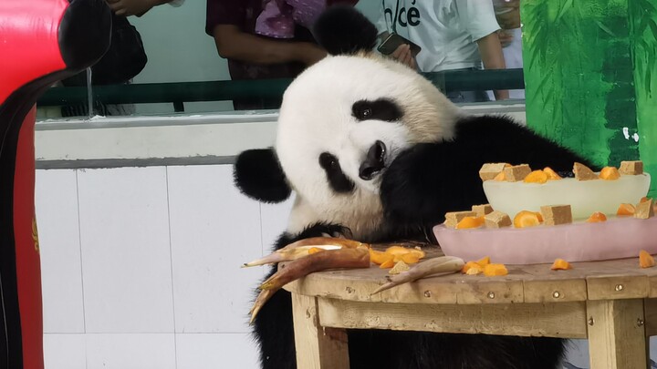 [Panda] Dua kue untuk memanjakan siapa?