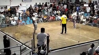Mclean Pumpkin Vs Sabong Era 3 cock derby PCCA