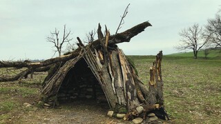 Building a SHELTER with stones and wood for SURVIVING in the wild