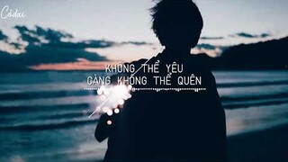 [Vietsub + Pinyin]  Không Thể Yêu, Càng Không Thể Quên / 白小白 - 爱不得忘不舍