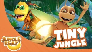 Tiny Jungle - Jungle Beat Compilation [Full Episodes]