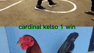 cardinal kelso win at cfcc
