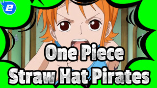 Seeing Straw Hat Pirates' Behavior, Do You Still Question Their Bouties?_2