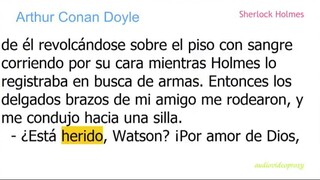 Arthur Conan Doyle - Sherlock Holmes 16/17