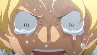 One Piece "Maybe it's a regret that makes people unforgettable"