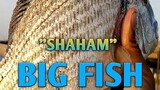 catch big fish /vlog 4