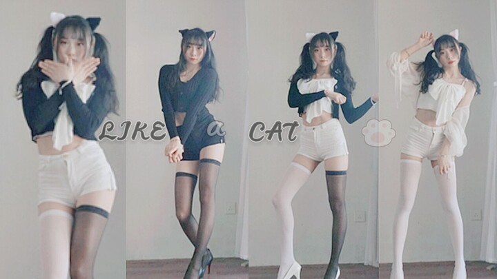 Gadis itu berpisah setelah berubah menjadi anak kucing ras campuran~