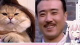 Loli Nhật Bản cười phát điên khi xem "Dàn"