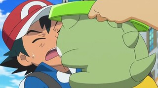 Ia sangat mirip dengan Pokémon, tetapi tidak dikenali sebagai Pokémon. Apa itu marsupial kecil?