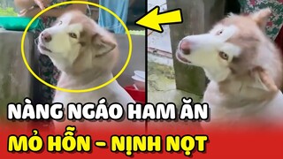 Đặc điểm nổi bật của Nàng Ngáo: HAM ĂN, MỎ HỖN và NỊNH NỌT 😂 | Yêu Lu