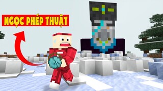 Minecraft Nhưng Tôi Trộm Đồ Của Phù Thủy