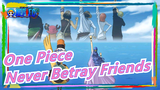 [One Piece] Zou Arc, Never Betray My Friends