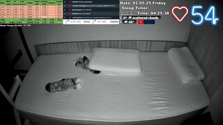 Sleep Stream 2.05.2025