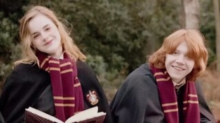 [Ron|Hermione] "How can you be so stupid that you don't even know I like you?"