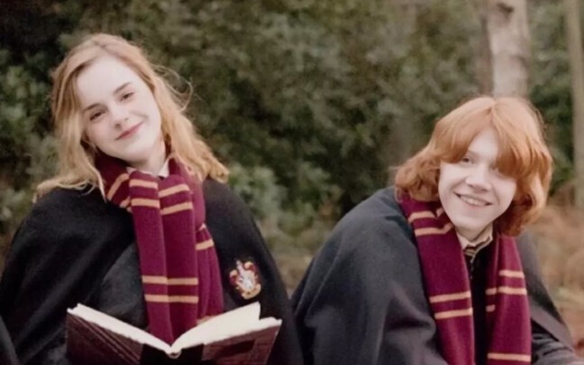 [Ron|Hermione] "How can you be so stupid that you don't even know I like you?"