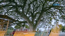 The Little Princess episode6