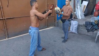 spar