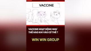 - Cơ chế hoạt động của vaccin khi vào cơ thể 🤣 vaccincovid  vuinhon hoathinhvui